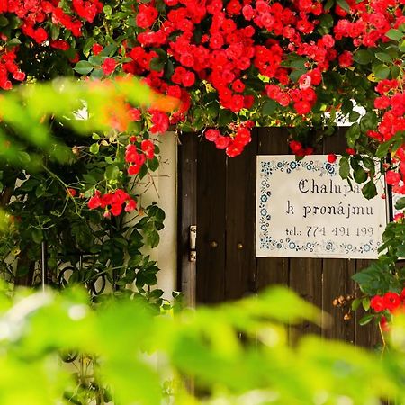 Chalupa U Capu Nove Mlyny Exterior foto